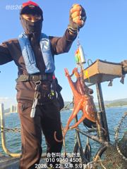 [통영] 통영 송현호))돌문어 야간에도 씨알 마리수 굿!