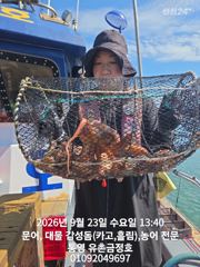 통영 금정호 오전문어 묵직한조황입니다 내일 오후 자리여유있습니다
