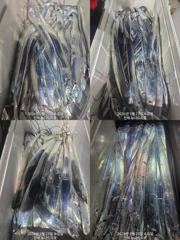 [진해] 내만 갈치 초저녁부터 3지급들이 설치고~~(금욜부터 예약 가능…