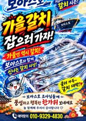 통영칼치 나온다 3지 4지