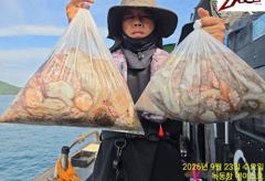 고흥 녹동항 문어조황