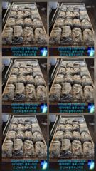 26시즌 9월 23일 군산 뉴 블루스타호 쭈꾸미 출조 기본 마릿수 현지 조황. 200수...