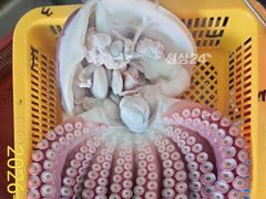 공현진 창명호,뉴창명호 대구,무늬오징어낚시 선비:6만원