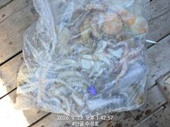 [진해] 돌문어 퍽퍽합니데이 추석 연휴 예약 가능합니다