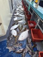 광어조황 글만 보기