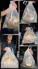 22일 야문 조항입니다 사진