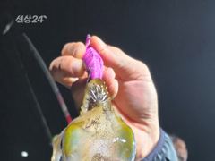 무늬팁런 오늘도 몬스터와 왕무시들로 148수
