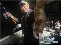 [거제] 무늬오징어 시알급들 계속 물어 띠네요^^