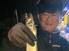 (은별호) 9/24 내만갈치출조합니다