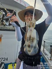 (통영팁런) 좌사리에서 무우, 고구마들 마리수~~