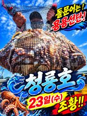 [고흥,녹동] <고흥녹동>청룡호24일 돌문어700수 !!!!대박조황소식!!