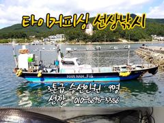구산면 타이거 칼치