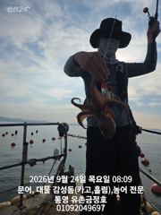 통영 금정호 오전문어 좋은싸이즈로 시작합니다 오늘오후 토.일 자…