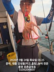 통영 금정호 오전문어 좋은싸이즈로 시작합니다 오늘오후 토.일 자리여유있습니딘