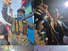 크라운호 쭈꾸미 실시간조황(24일)-내일오전 자리있음