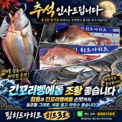 [거제] 선상흘림/추석연휴 긴꼬리벵에돔 부터 덩치 오짜참들들
