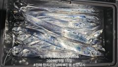 [진해] 준내만 4지급 텐빈 은빛 갈치 대박 쿨러 가득 조황!! 내일자리…