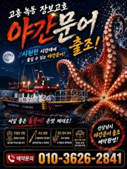 [고흥,녹동] 추석재수용 녹동돌문어 물반문어반7탄