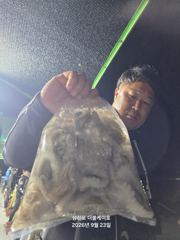 삼천포 주꾸미, 문어 조황! 주간반, 야간반 매일출조!