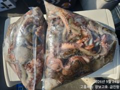 고흥장보고호 선상낚시 조황