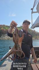1   [통영] 문어(핫~실시간) 700g이상 키로급 키로오버속출~락피싱(오늘 … 1