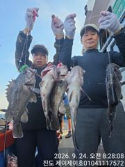 [해남,진도] 진도제이제이 9월23일 갈치 우럭병행출조 조황입니다