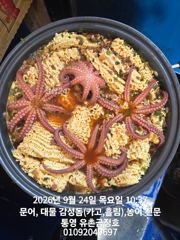 통영 금정호 오전문어 그냥 잘나옵니다 금토일 자리여유 있습니다