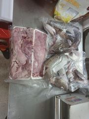 9월24일 22인승. 고성일광호 대구조황 0108510-2346