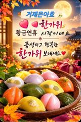 4짜외감성돔 마릿수 퍽퍽 조황 어초에서 [1]