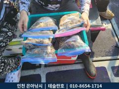 9월23일 인천남항 테슬란호 주꾸미조황입니다~~^^
