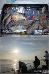 [부산] 피싱히어로 4짜 감성돔 돌돔 긴꼬리벵어돔 조황