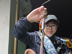 녹동 돌문어 조황