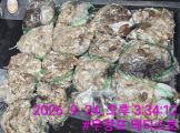 먹물조황 글만 보기