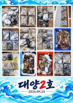 오이도 대양2호 조황사진(26.09.24)