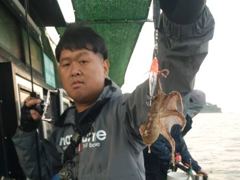 왕쭈꾸미 피딩피딩
