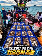 쭈갑조황 글만 보기