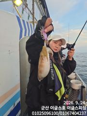[갑오징어] 26.9.24 군산 이글스호 먼바다 갑오징어 대박 조황 굿굿굿