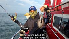 9/24 목 [5물] 쭈꾸미/갑오징어 조항 입니다.