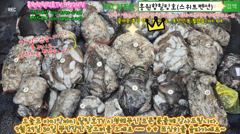 9월24일 홍원항힐링호 대박^^ 쭈갑 망테기 조황~!장원12.5kg 2등11kg3등 4등10kg 등등..전원 7kg이상씩 잡으셨네요^^; 오늘도 문어1kg~는 서비스 ㅋㅋ