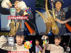 1시간전 [군산] 9/24 목 쭈꾸미 조황 임니다