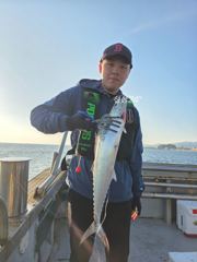 강릉 성훈호 260924목 동해바다 돼지고등어 삼치 회유어종 체험 배낚시 조황 (성훈호낚시TV)