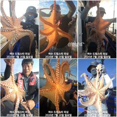 (여수 드림스타)돌문어사냥 나갑니다. 초전투 전투