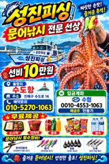 야간문어 25일 추석. 출항. 확정