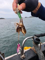 9월24일 뉴사아호 오후짬낚시 조황 사진