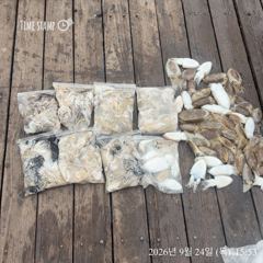 도대췌 얼마나 많길래...