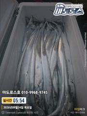 마도로스호 오늘 출항합니다 이벤트도확인하세요
