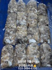 ★★ 9 / 24 [군산 대일피싱] 킹스타호 쭈꾸미 조황입니다. 추석당일 반나절 출조합니다.