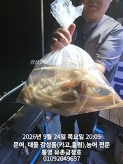 [통영] 통영 금정호 오후문어도 재미나게 잡아냅니다!! 내일 오전 자리여…