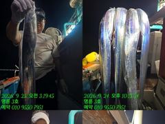 [통영] (14석통영명륜3호)은빚 갈치 사냥 다녀왔습니다 쿨러구경 밤새도…