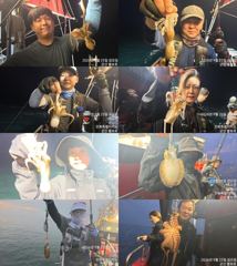 <볼보호> 쭈꾸미 종일 실시간 조황(25일)-금일 오후 쭈꾸미배 자리있습니다.